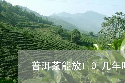 普洱茶能放10几年吗/2023120639593