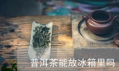 普洱茶能放冰箱里吗/2023091541725