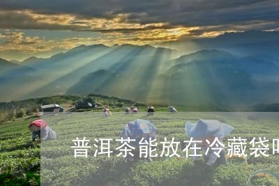 普洱茶能放在冷藏袋吗/2023093083726