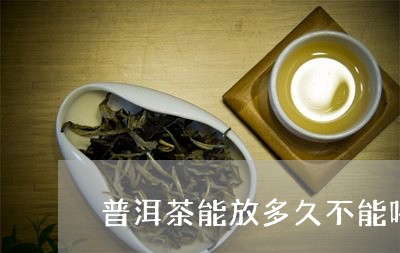 普洱茶能放多久不能喝啦/2023121751795