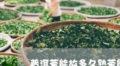 普洱茶能放多久熟茶能喝/2023121774746