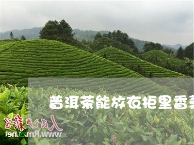 普洱茶能放衣柜里香薰/2023061728269