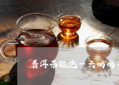 普洱茶能泡一天吗吗有毒吗/2023112472806