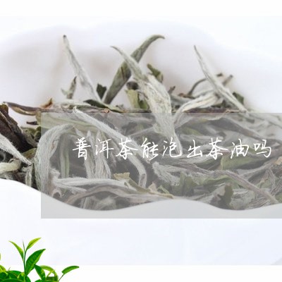 普洱茶能泡出茶油吗/2023091539481