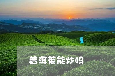 普洱茶能炒吗/2023042914028