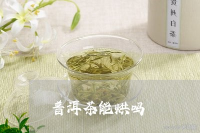 普洱茶能烘吗/2023042501062