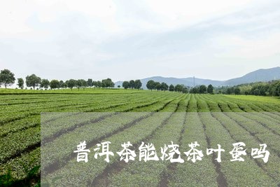 普洱茶能烧茶叶蛋吗/2023042865947