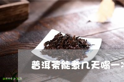 普洱茶能煮几天喝一次好/2023103114127