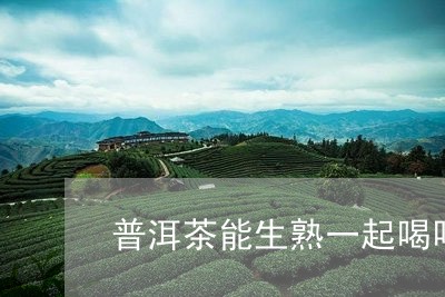 普洱茶能生熟一起喝吗/2023092684139