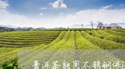 普洱茶能用不锈钢保温杯泡/2024010414249