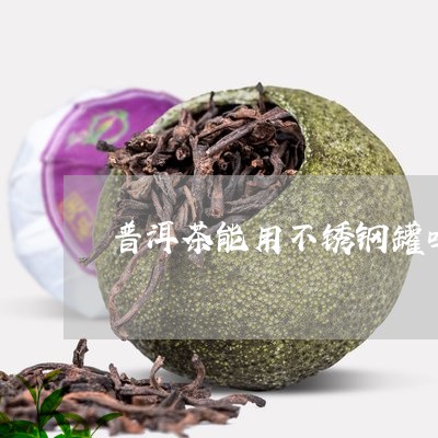 普洱茶能用不锈钢罐吗/2023121770737