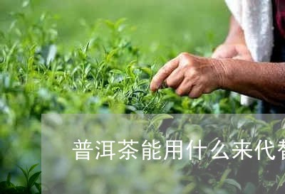 普洱茶能用什么来代替/2023101795836