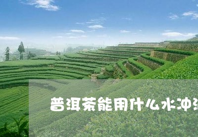 普洱茶能用什么水冲泡/2023080118261