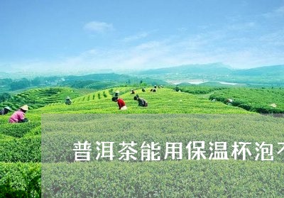 普洱茶能用保温杯泡不/2023072475048