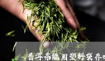 普洱茶能用塑料袋存吗/2023061671939