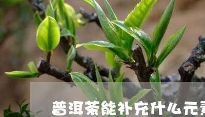 普洱茶能补充什么元素/2023080137273