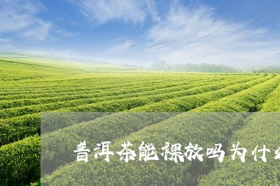 普洱茶能裸放吗为什么呢/2023102454728