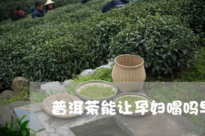 普洱茶能让孕妇喝吗早期/2023102415171