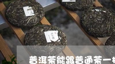 普洱茶能跟普通茶一样泡吗/2023112817460