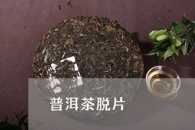 普洱茶脱片/2023102570705