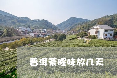 普洱茶腥味放几天/2023062858571