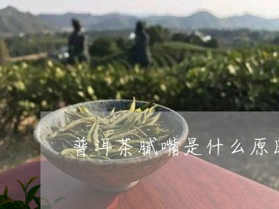 普洱茶腻嘴是什么原因/2023072470707