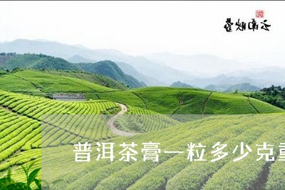 普洱茶膏一粒多少克重量/2023121784039