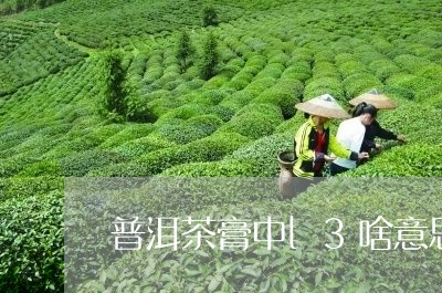 普洱茶膏中l3啥意思/2023061578484