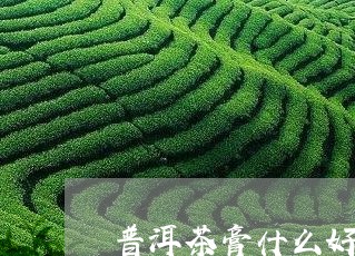 普洱茶膏什么好喝点的/2023121700472