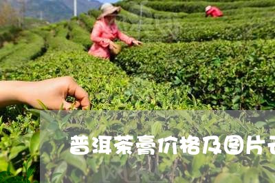 普洱茶膏价格及图片云南普洱茶膏/2023060282747