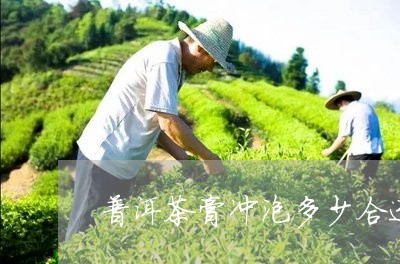 普洱茶膏冲泡多少合适/2023080121704