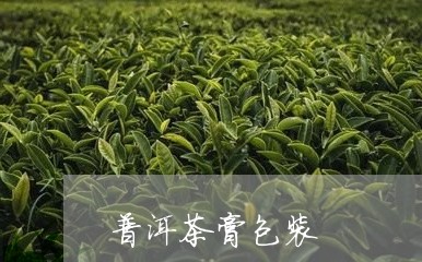 普洱茶膏包装/2023042702614