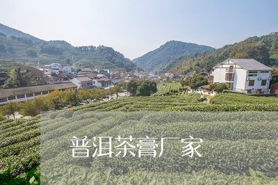 普洱茶膏厂家/2023042693651