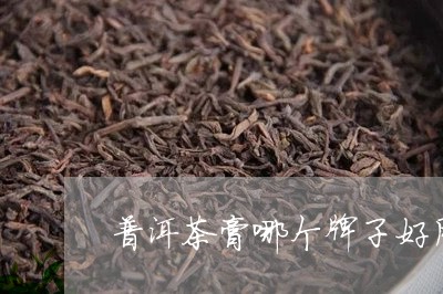 普洱茶膏哪个牌子好用/2023100564039