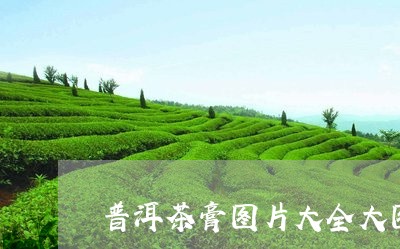 普洱茶膏图片大全大图最新/2023112532926