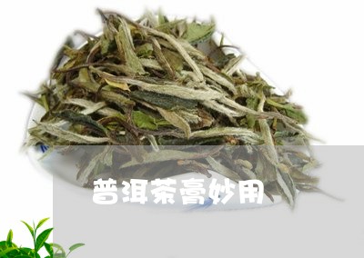 普洱茶膏妙用/2023042745137