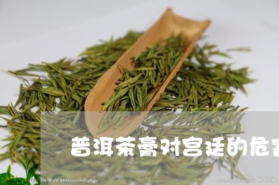 普洱茶膏对宫廷的危害/2023072447351