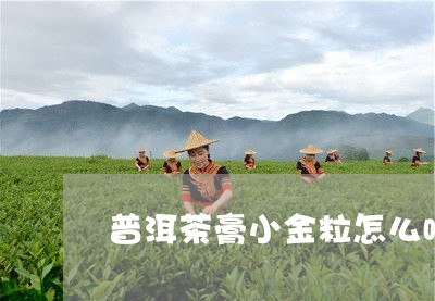 普洱茶膏小金粒怎么喝/2023092891827