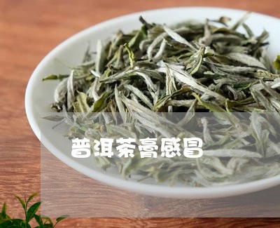 普洱茶膏感冒/2023042913886