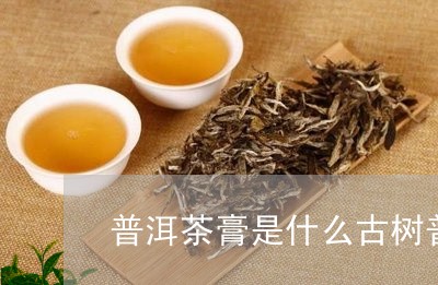 普洱茶膏是什么古树普洱红茶/2023052782827