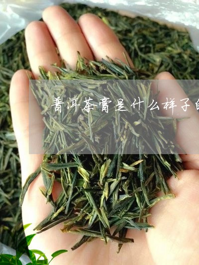 普洱茶膏是什么样子的/2023092738485