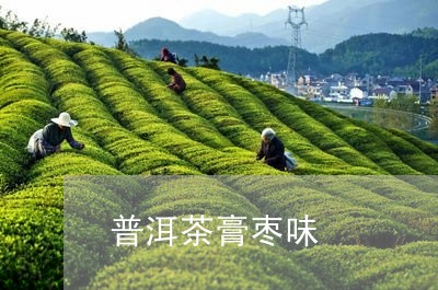 普洱茶膏枣味/2023042516137