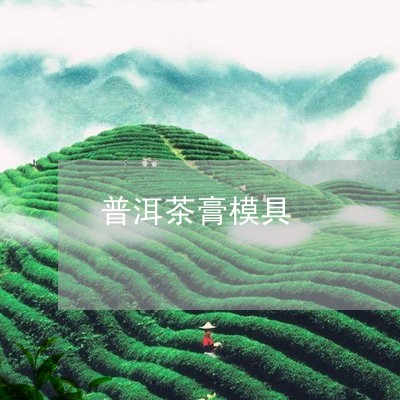 普洱茶膏模具/2023042797988