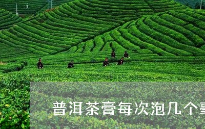 普洱茶膏每次泡几个毫升/2023121794149