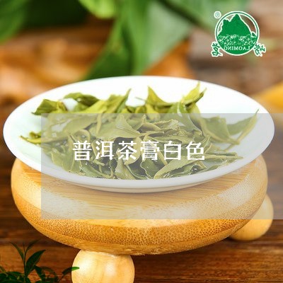 普洱茶膏白色/2023042754675