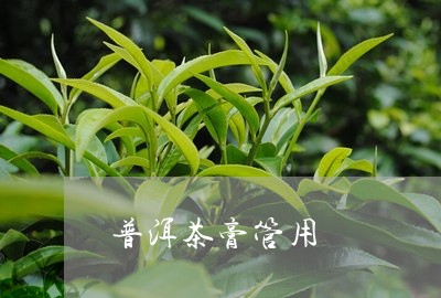 普洱茶膏管用/2023042750475