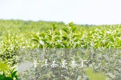 普洱茶膏茶厂/2023042714704