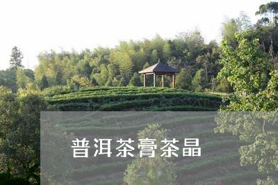 普洱茶膏茶晶/2023042618069