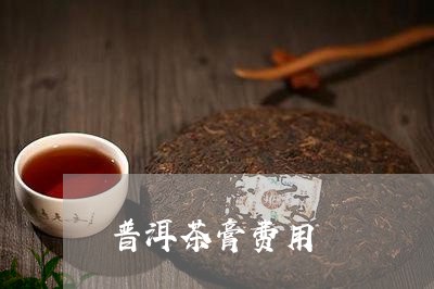 普洱茶膏费用/2023042649220