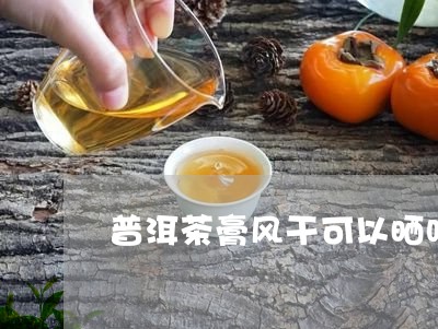 普洱茶膏风干可以晒吗/2023073187483